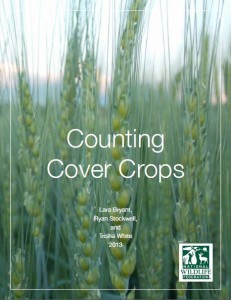 Counting Cover Crops. (cover crops, Mississippi River Basin, water quality, agriculture, soil health)