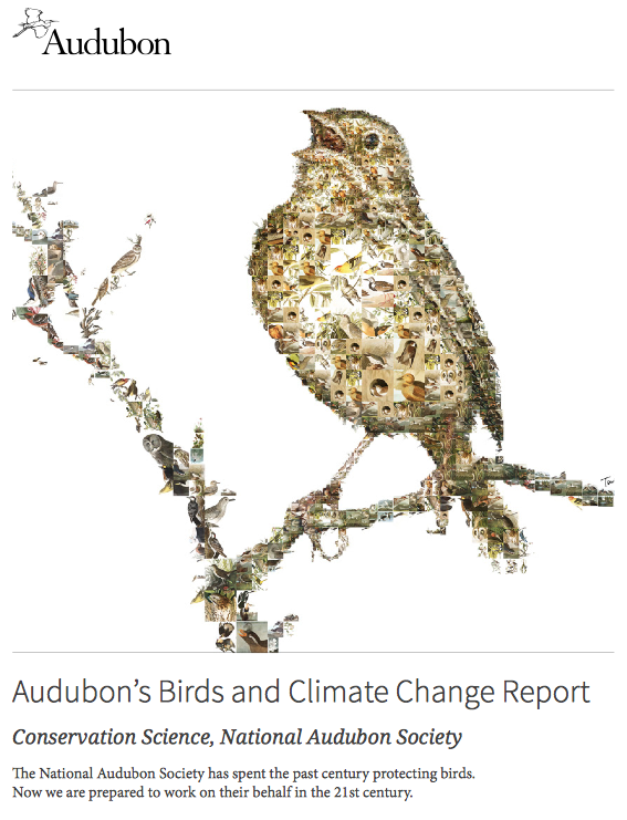 Audubon's Birds and Climate Change Report.