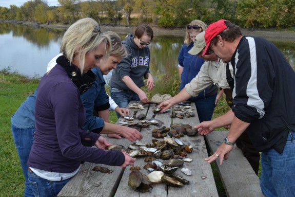 MRVED teachers share their finds and work together to identify the various species of both live mussels and their remnant shells.
