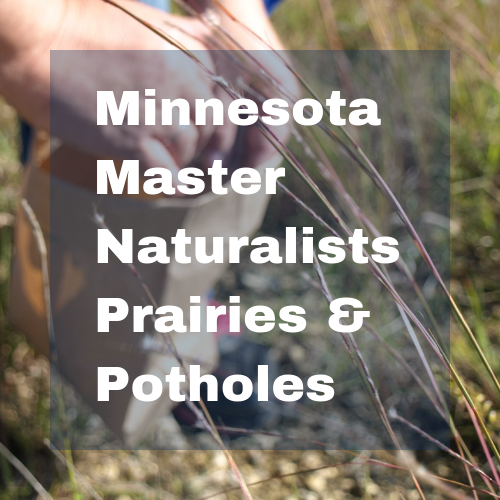 Minnesota Master Naturalists Prairies & Potholes button