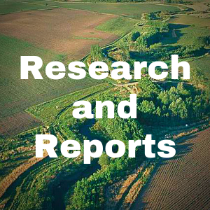 Research & Reports Button
