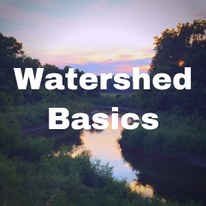 Watershed Basics Button