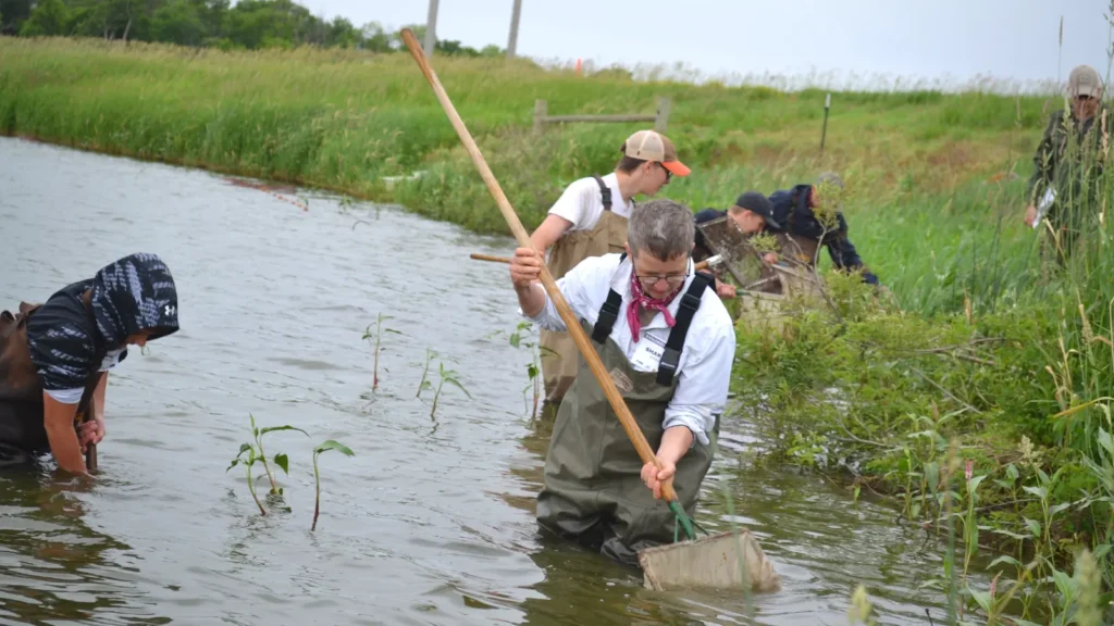 People looking for aquatic plants