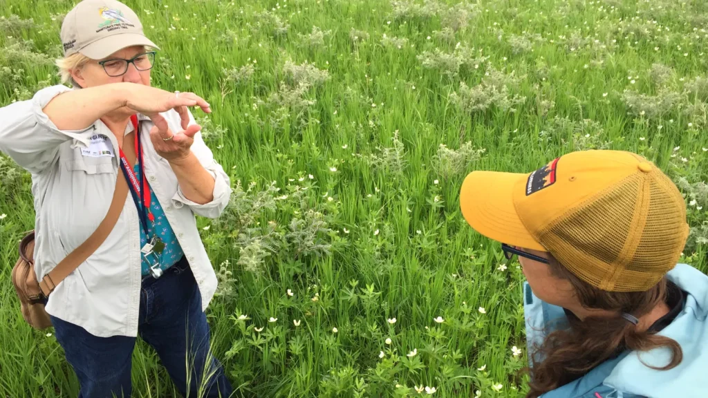 Margaret Kuchenreuther lead a prairie plant survey. Rhyan Schicker looks on. Both are CURE Board Members!
