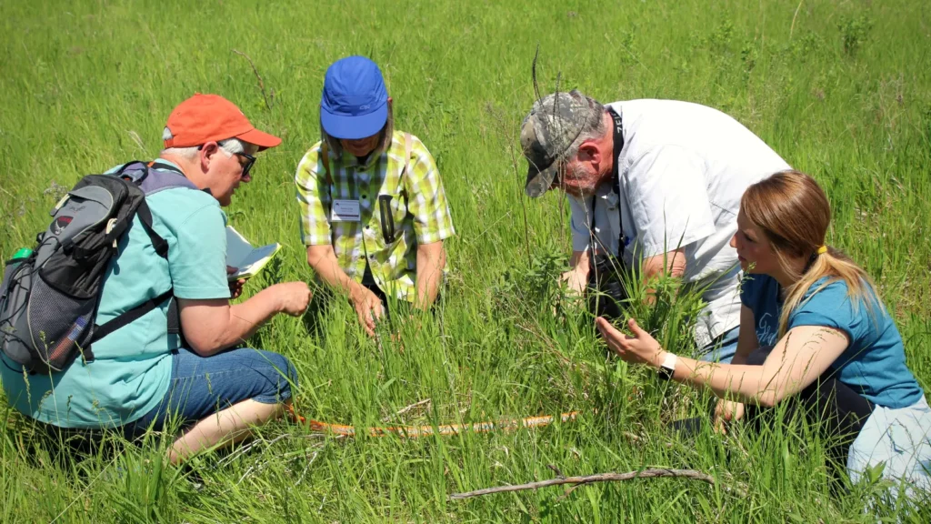 A small group learning more about the prairie at the 2019 Minnesota Master Naturalists Prairies & Potholes training.