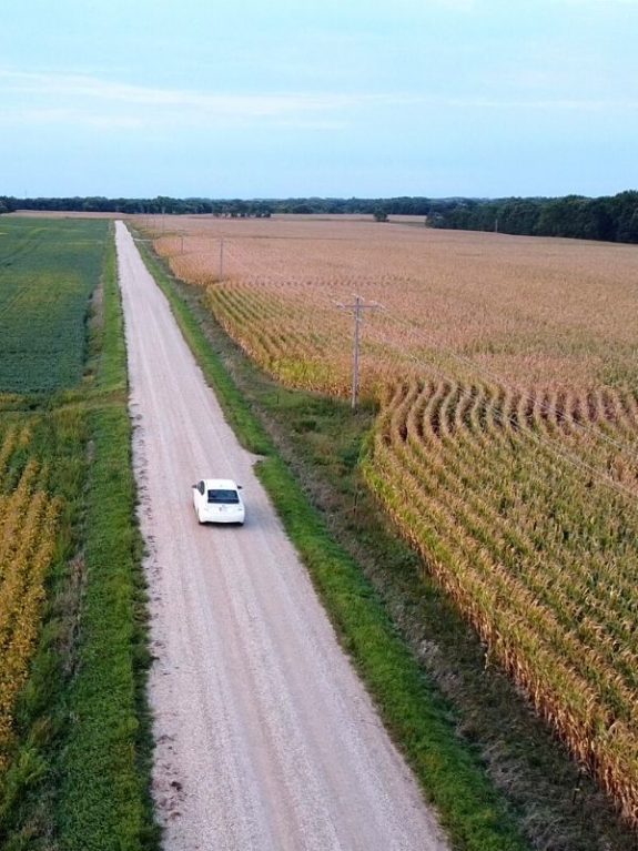 Car driving down a gravel road with corn fields on either side
