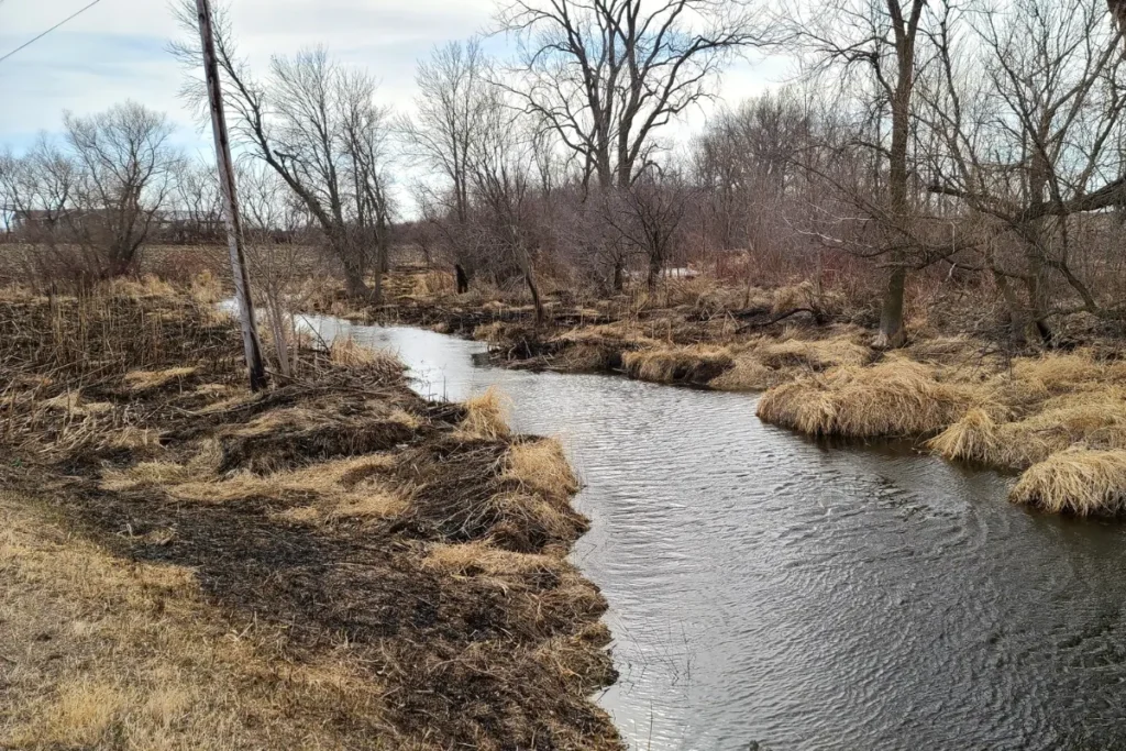 Limbo Creek