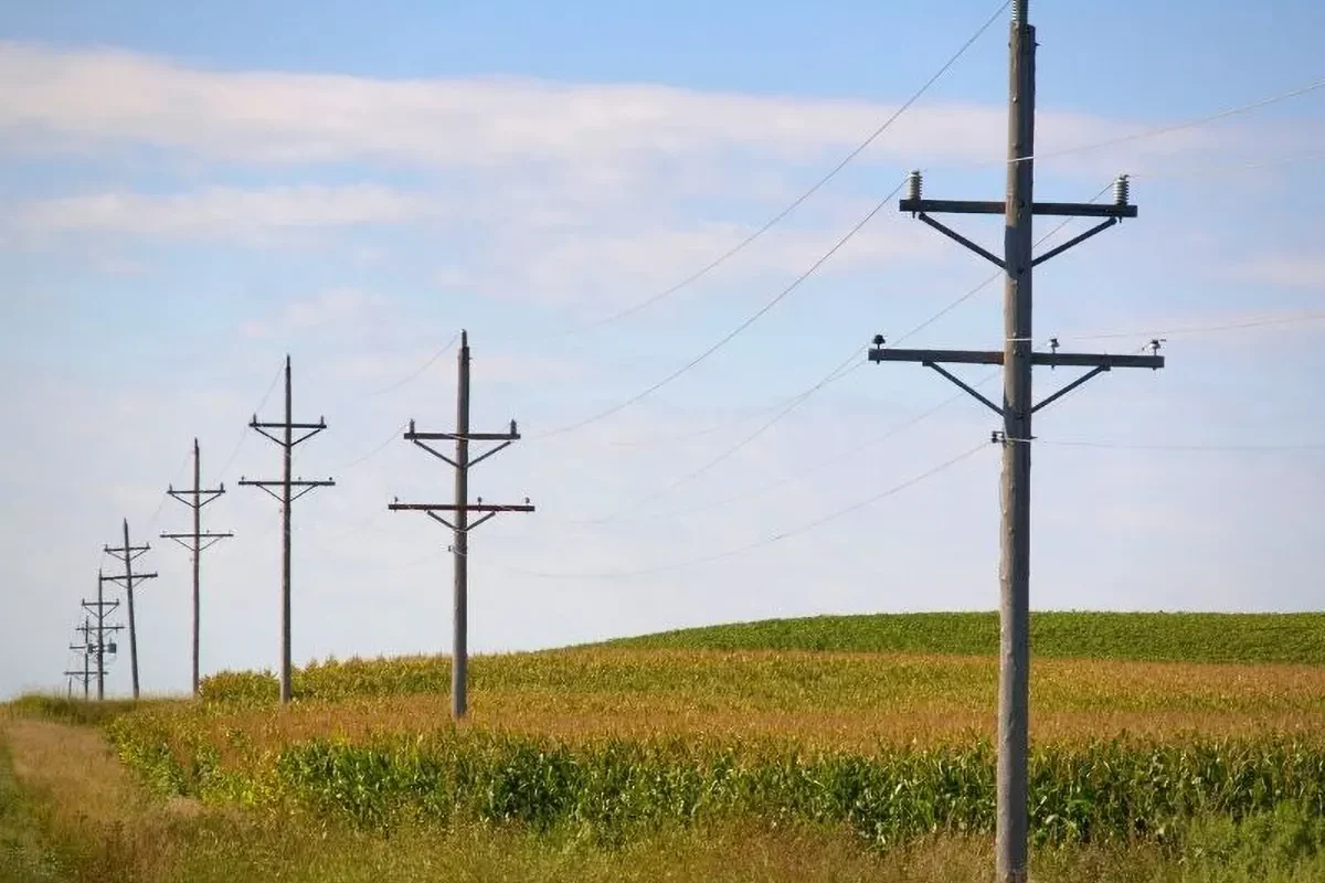 Powerlines in a corn field