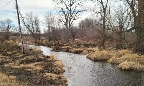 Limbo Creek in Renville County