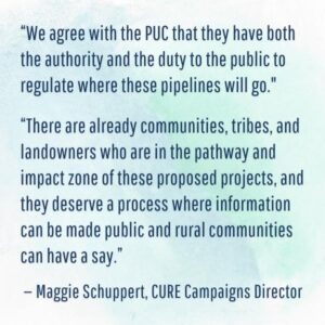 CURE PUC ruling quote