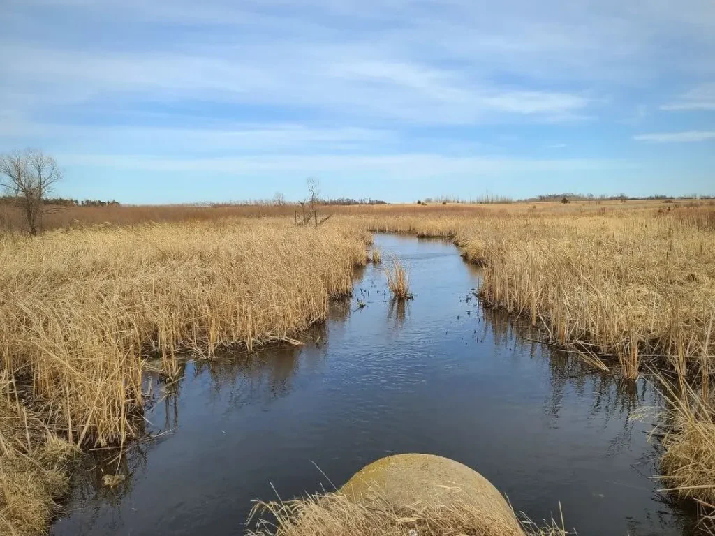 Limbo Creek