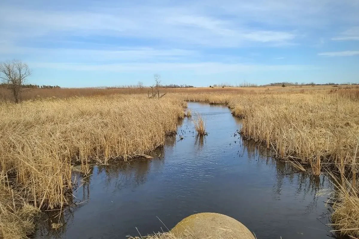 Limbo Creek