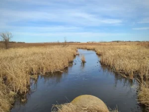 Limbo Creek