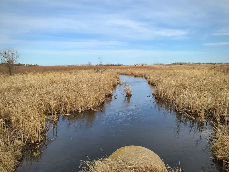 Limbo Creek