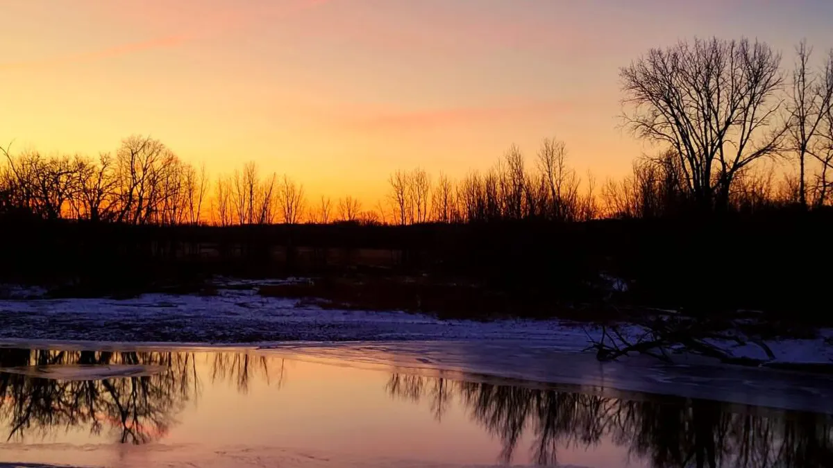 Water and Treeline at Sunset