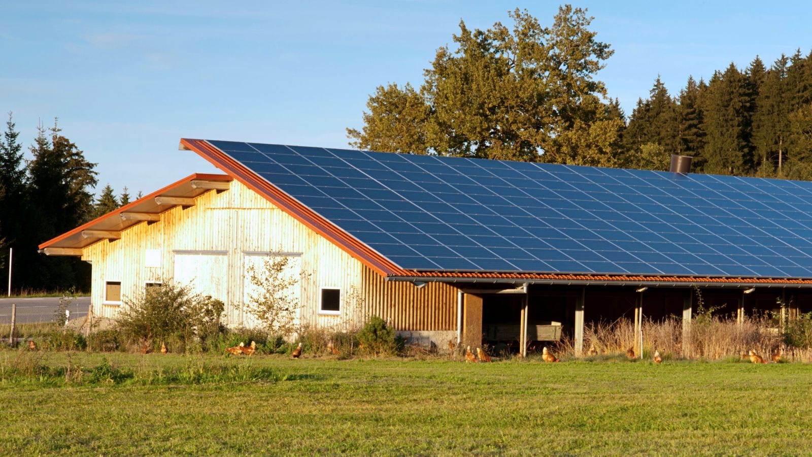 solar panels on a barn