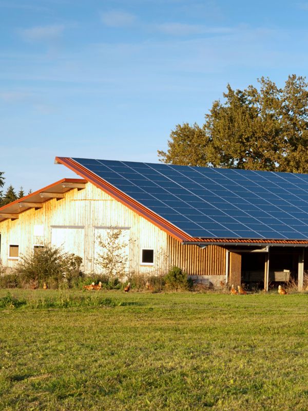 solar panels on a barn roof