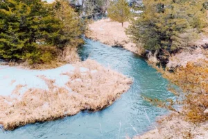 Shakopee Creek