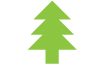green pine tree | CURE icon for work on forestry issues and in northern MN