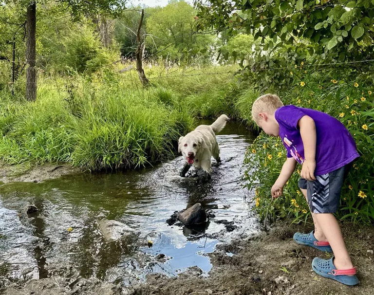 Boy with Dog in Creek