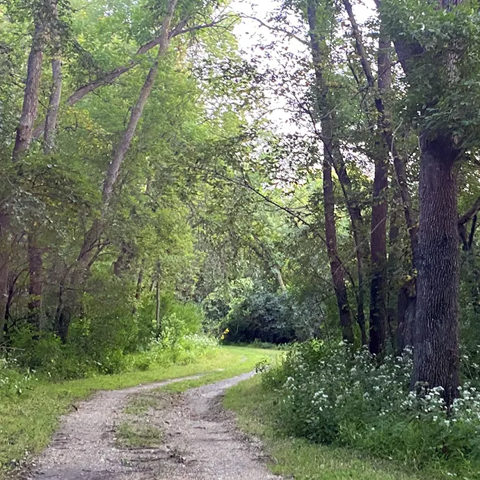 Gravel path into the woods