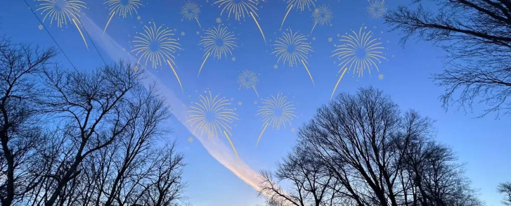 Fireworks in Night Sky