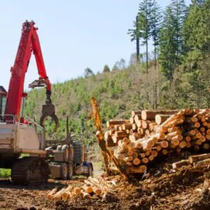 machine logging in a forest