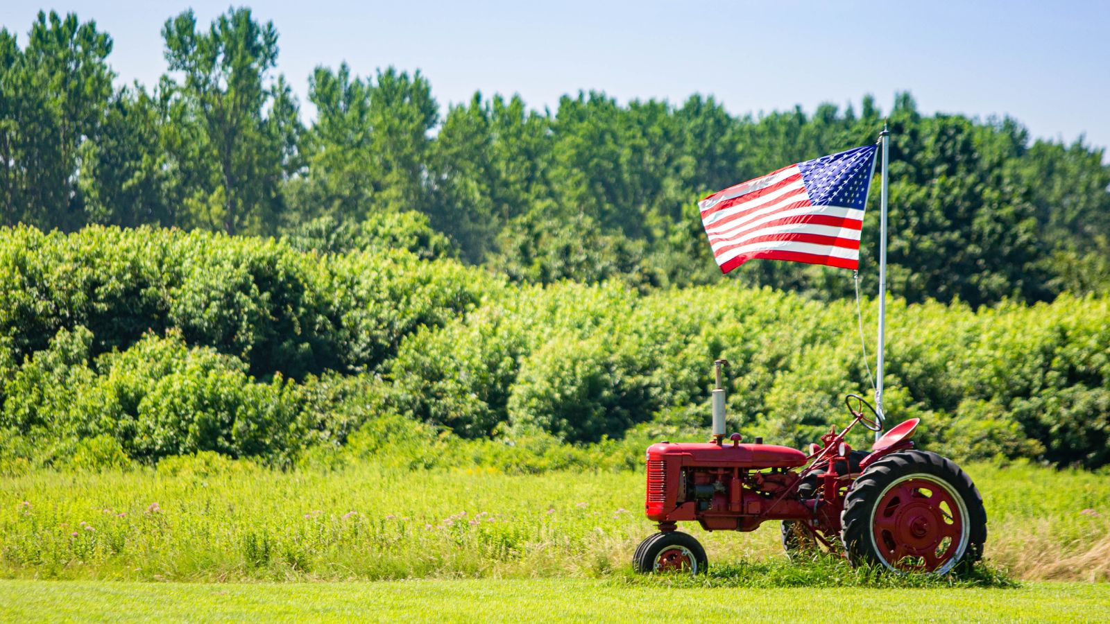 An American flag by an older tractor