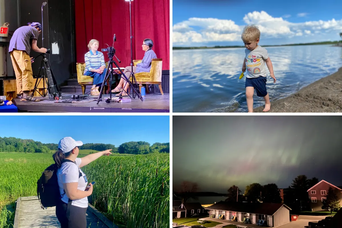 Four Summer Images