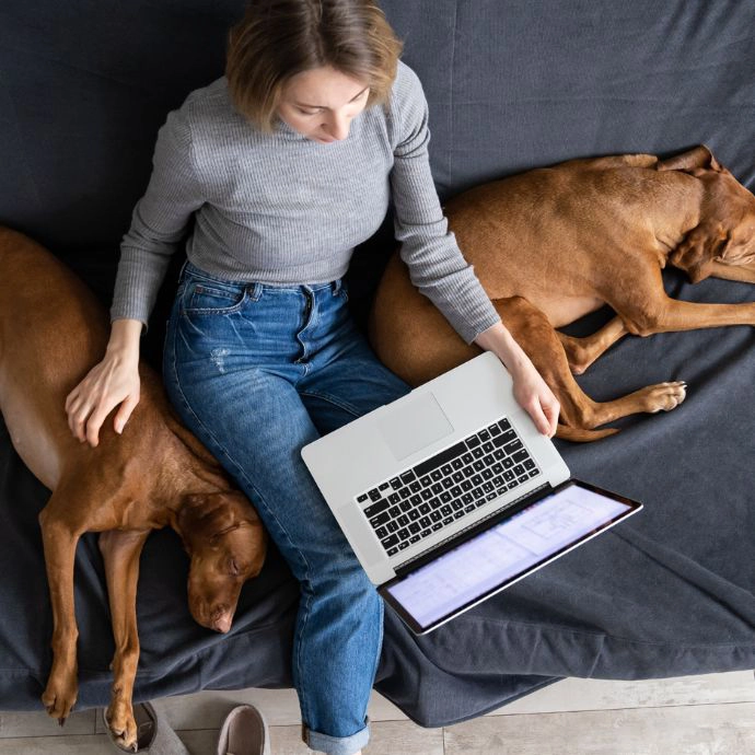 A woman on her laptop with two dogs