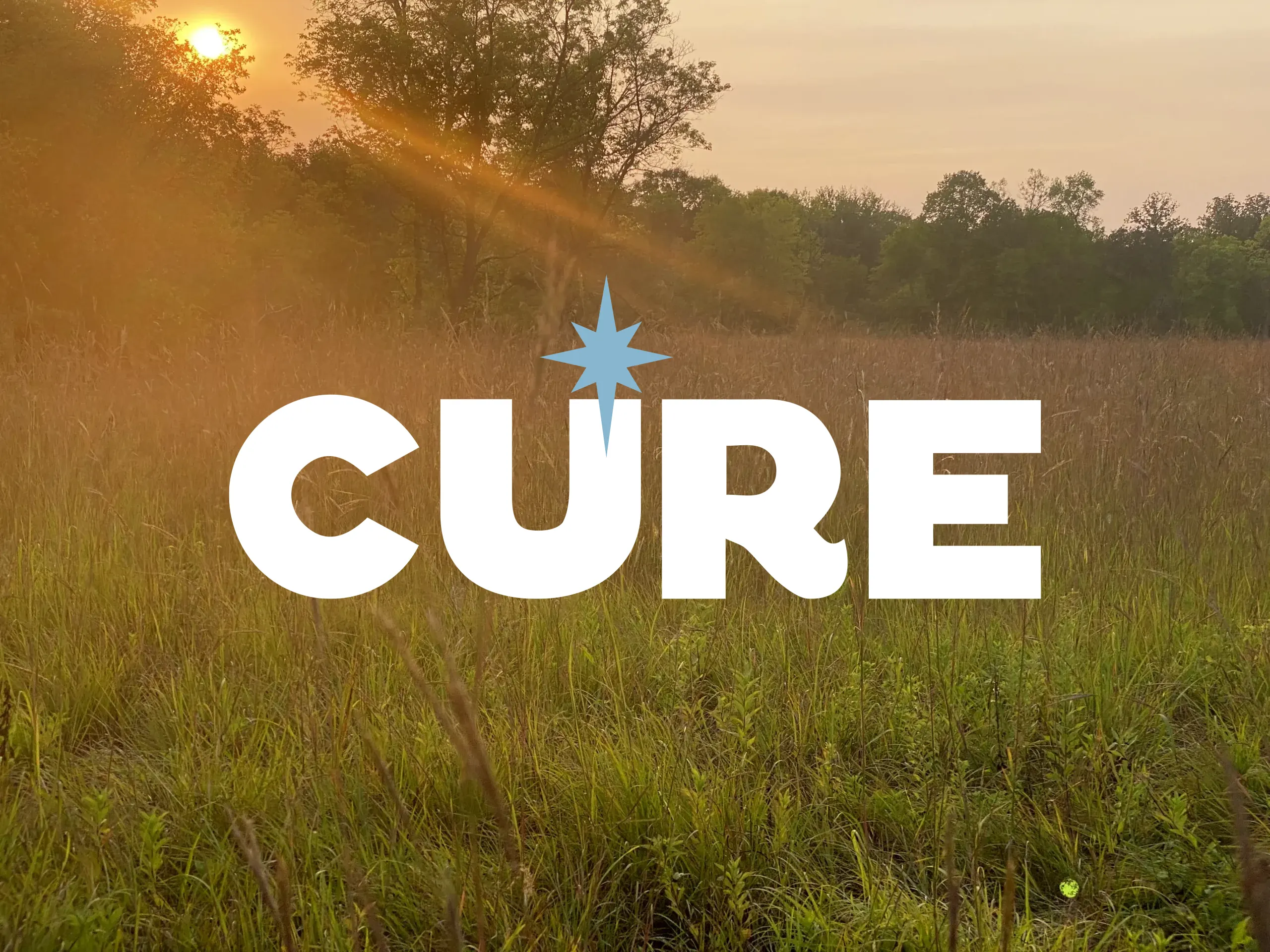 Home ⋆ CURE