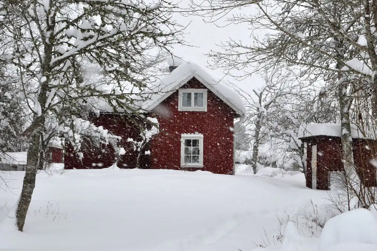 Small red house in the woods with lots of snow