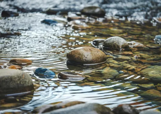 clean water on rocks
