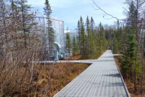 marcell experimental forest