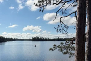 a northern MN lake with trees