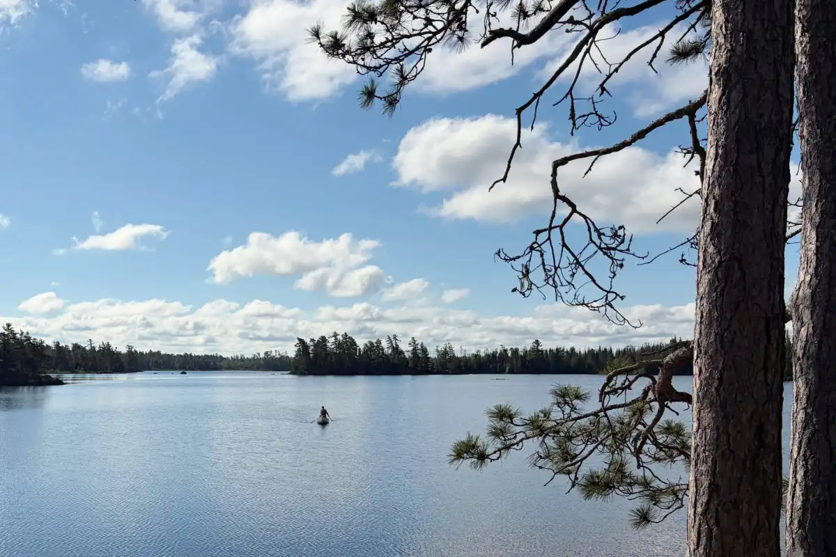 a northern MN lake with trees