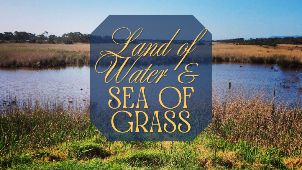 Land of Water & Sea of Grass