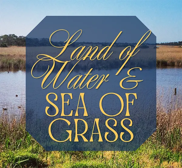 Land of Water & Sea of Grass